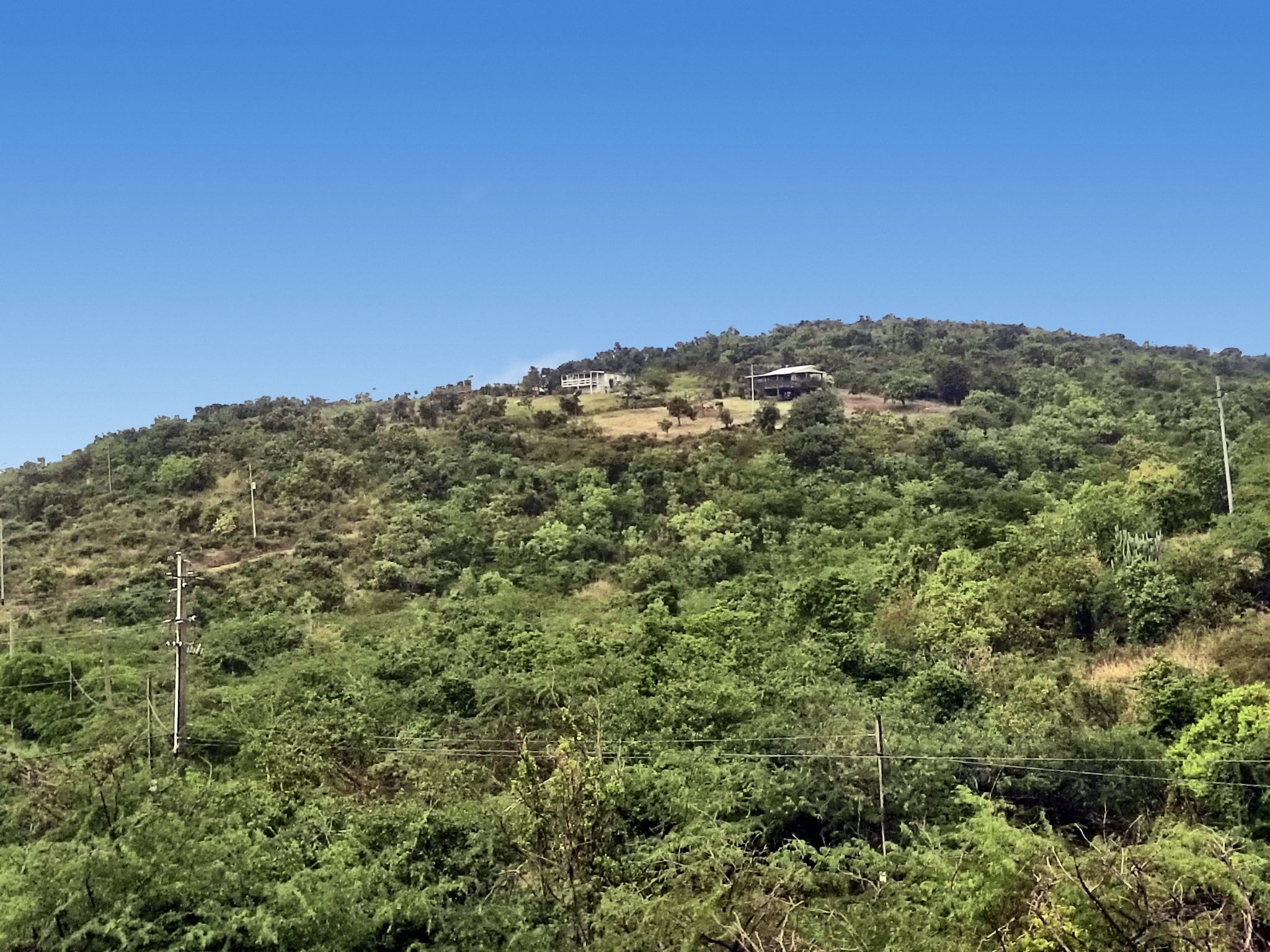 Green hillside covered in scrub and trees beneath a blue sky